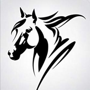 Meet your Posher, Sheena